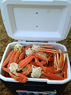 Snowcrab